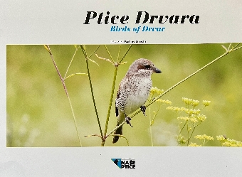 Ptice Drvara; Birds of Drva... (naslovna strana)
