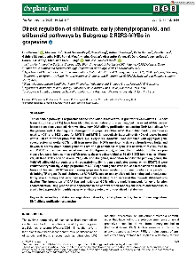 Digitalna vsebina dCOBISS (Direct regulation of shikimate, early phenylpropanoid, and stilbenoid pathways by subgroup 2 R2R3-MYBs in grapevine)