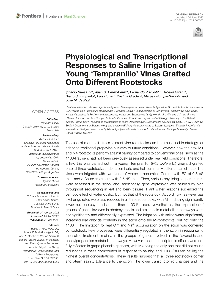 Digitalna vsebina dCOBISS (Physiological and transcriptional responses to saline irrigation of young ‘Tempranillo’ vines grafted onto different rootstocks [Elektronski vir])