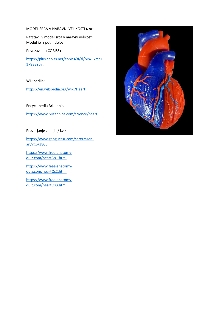Digitalna vsebina dCOBISS (Life size human heart model : 5 parts : 3B smart anatomy [Predmet])