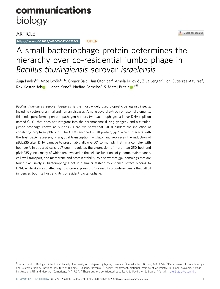 Digitalna vsebina dCOBISS (A small bacteriophage protein determines the hierarchy over co-residential jumbo phage in Bacillus thuringiensis serovar israelensis [Elektronski vir])