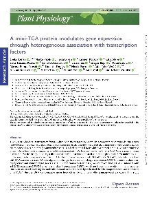 Digitalna vsebina dCOBISS (A mini-TGA protein modulates gene expression through heterogeneous association with transcription factors)