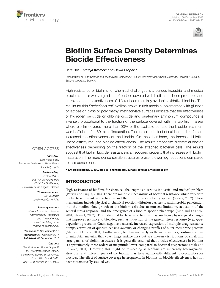 Digitalna vsebina dCOBISS (Biofilm surface density determines biocide effectiveness [Elektronski vir])