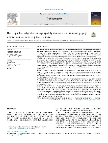 Digitalna vsebina dCOBISS (The impact of subjective image quality evaluation in mammography)