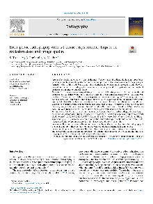 Digitalna vsebina dCOBISS (Erect pelvic radiography with fat tissue displacement : impact on radiation dose and image quality)