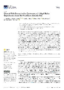 Digitalna vsebina dCOBISS (Coastal fish fauna in the Cystoseira s.l. algal belts [Elektronski vir] : experiences from the Northern Adriatic Sea)