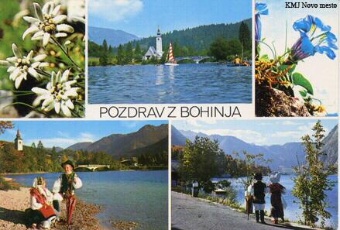 Digitalna vsebina dCOBISS (Pozdrav iz Bohinja [Slikovno gradivo] : Bohinj - Slovenija)