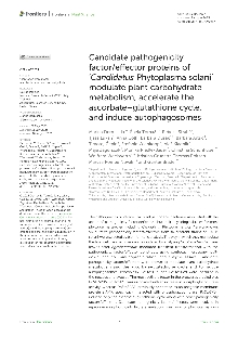 Digitalna vsebina dCOBISS (Candidate pathogenicity factor/effector proteins of ‘Candidatus Phytoplasma solani’ modulate plant carbohydrate metabolism, accelerate the ascorbate–glutathione cycle, and induce autophagosomes [Elektronski vir])