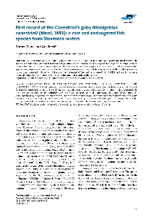 Digitalna vsebina dCOBISS (First record of the Canestrini’s goby Ninnigobius canestrinii (Ninni, 1883) / Domen Trkov and Ana Fortič : a rare and endangered fish species from Slovenian waters)