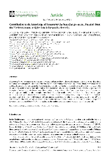 Digitalna vsebina dCOBISS (Contribution to the knowledge of Gongolaria barbata (Sargassaceae, Fucales) from the Mediterranean : insights into infraspecific diversity)