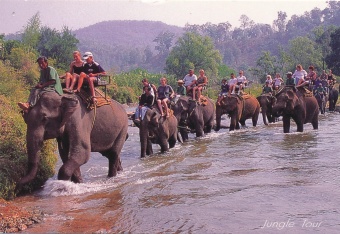 Digitalna vsebina dCOBISS (Jungle tour [Slikovno gradivo] : North Thailand)