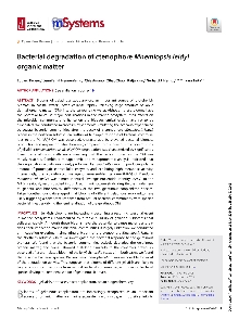 Digitalna vsebina dCOBISS (Bacterial degradation of ctenophore Mnemiopsis leidyi organic matter)