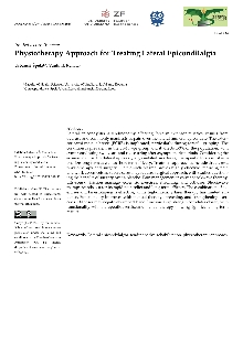 Digitalna vsebina dCOBISS (Physiotherapy approach for treating lateral epicondilalgia [Elektronski vir])