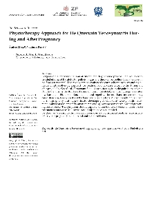 Digitalna vsebina dCOBISS (Physiotherapy approach for De Quervain tenosynovitis during and after pregnancy [Elektronski vir])