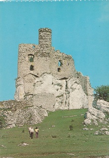 Digitalna vsebina dCOBISS (Mirów [Slikovno gradivo] : ruiny gotyckiego zamku - najstarstego na Szlaku Orlich Gniazd)