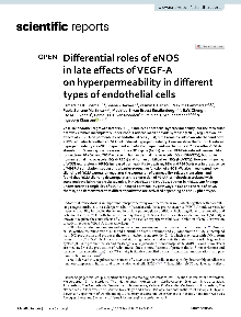 Digitalna vsebina dCOBISS (Diferential roles of eNOS in late efects ofVEGF‑A on hyperpermeability in diferent types of endothelial cells [Elektronski vir])