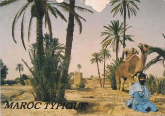 Digitalna vsebina dCOBISS (Maroc Typique [Slikovno gradivo] : sud du Maroc : Le chamelier et l'Oasis)