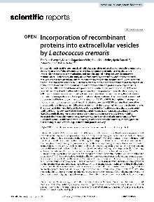 Digitalna vsebina dCOBISS (Incorporation of recombinant proteins into extracellular vesicles by Lactococcus cremoris [Elektronski vir] / Tina Vida Plavec ... [et al.])