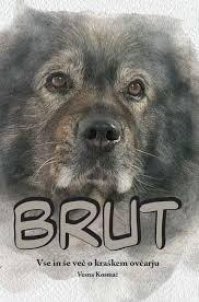predogled
