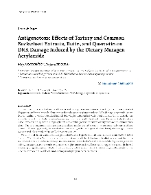 Digitalna vsebina dCOBISS (Antigenotoxic effects of Tartary and common buckwheat extracts, rutin, and quercetin on DNA damage induced by the dietary mutagen acrylamide [Elektronski vir] / Maja Vogrinčič, Bojana Žegura)