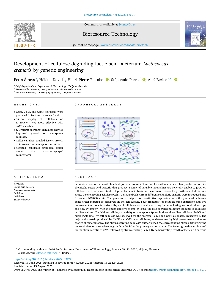 Digitalna vsebina dCOBISS (Development of cellulose-degrading lactic acid bacterium Lactococcus cremoris by genetic engineering [Elektronski vir] / Petra Štravs ... [et al.])