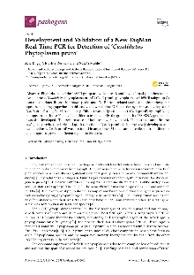 Digitalna vsebina dCOBISS (Development and validation of a new TaqMan real-time PCR for detection of 'Candidatus phytoplasma pruni' [Elektronski vir])