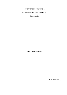 Digitalna vsebina dCOBISS (Primerjava učinkovitosti različnih fizioterapevtskih pristopov pri obravnavi nespecifične kronične bolečine v križu – pregled literature : diplomsko delo visokošolskega strokovnega študijskega programa prve bolonjske stopnje Fizioterapija / Elisa Bianchini)