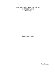 Digitalna vsebina dCOBISS (Učinki terapije z ogledalom na motorične funkcije zgornjega uda pri bolnikih po možganski kapi – pregled literature : diplomsko delo visokošolskega strokovnega študijskega programa prve bolonjske stopnje Fizioterapija / Tilen Rozman)