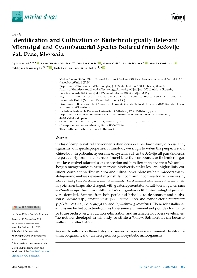 Digitalna vsebina dCOBISS (Identification and cultivation of biotechnologically relevant microalgal and cyanobacterial species isolated from Sečovlje salt pans, Slovenia [Elektronski vir] / Eylem Atak ... [et al.])