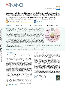 Digitalna vsebina dCOBISS (Magnetic field-driven strategies for biofilm disruption [Elektronski vir] : from iron oxide nanoparticles to adaptive swarms of magnetic microrobots / Maja Caf ... [et al.])