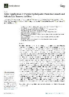 Digitalna vsebina dCOBISS (Foliar application of protein hydrolysates promotes growth and affects leaf ionome in olive [Elektronski vir] / Igor Pasković ... [et al.])
