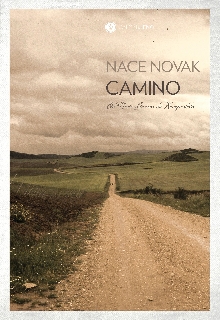 Digitalna vsebina dCOBISS (Camino [Elektronski vir] : od Nove Gorice do Kompostele)