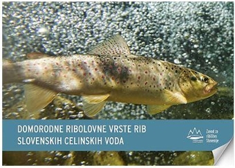 Digitalna vsebina dCOBISS (Domorodne ribolovne vrste rib slovenskih celinskih voda)