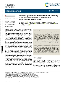 Digitalna vsebina dCOBISS (Interface-governed electromechanical coupling in bioinspired hierarchical piezoelectric poly(l-lactide) architectures [Elektronski vir] / Martina Žabčić ... [et al.])