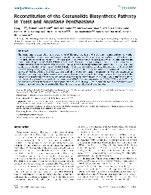 Digitalna vsebina dCOBISS (Reconstitution of the costunolide biosynthetic pathway in yeast and Nicotiana benthamiana / Qing Liu ... [et al.])