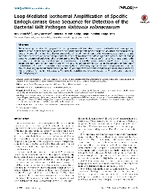 Digitalna vsebina dCOBISS (Loop-mediated isothermal amplification of specific endoglucanase gene sequence for detection of the bacterial wilt pathogen Ralstonia solanacearum [Elektronski vir])