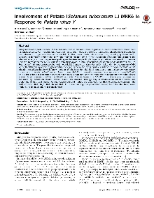 Digitalna vsebina dCOBISS (Involvement of potato (Solanum tuberosum L.) MKK6 in response to Potato virus Y [Elektronski vir] / Ana Lazar ... [et al.])