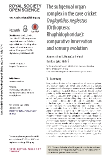 Digitalna vsebina dCOBISS (The subgenual organ complex in the cave cricket Troglophilus neglectus (Orthoptera: Rhaphidophoridae) [Elektronski vir] : comparative innervation and sensory evolution)