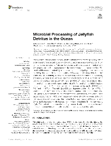 Digitalna vsebina dCOBISS (Microbial processing of jellyfish detritus in the ocean [Elektronski vir])