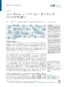 Digitalna vsebina dCOBISS (Cold plasma, a new hope in the field of virus inactivation)