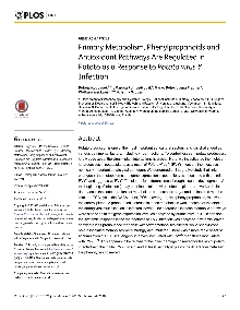 Digitalna vsebina dCOBISS (Primary metabolism, phenylpropanoids and antioxidant pathways are regulated in potato as a response to Potato virus Y infection)