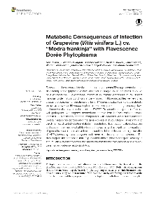 Digitalna vsebina dCOBISS (Metabolic consequences of infection of grapevine (Vitis vinifera L.) cv. ʺModra frankinjaʺ with flavescence dorée phytoplasma [Elektronski vir])