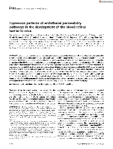 Digitalna vsebina dCOBISS (Expression patterns of endothelial permeability pathways in the development of the blood-retinal barrier in mice)