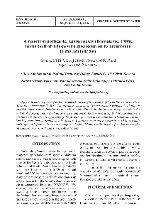 Digitalna vsebina dCOBISS (A record of porbeagle, Lamna nasus (Bonnaterre, 1788), in the Gulf of Trieste with discussion on its occurence in the Adriatic Sea)