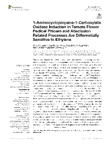 Digitalna vsebina dCOBISS (1-aminocyclopropane-1-carboxylate oxidase induction in tomato flower pedicel phloem and abscission related processes are differentially sensitive to ethylene [Elektronski vir])