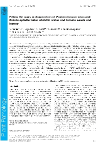 Digitalna vsebina dCOBISS (Filling the gaps in diagnostics of Pepino mosaic virus and Potato spindle tuber viroid in water and tomato seeds and leaves)