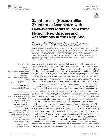 Digitalna vsebina dCOBISS (Zoantharians (Hexacorallia: Zoantharia) associated with cold-water corals in the Azores Region: new species and associations in the deep sea [Elektronski vir])