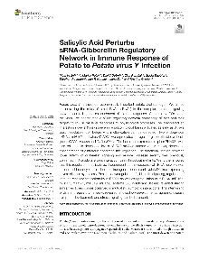 Digitalna vsebina dCOBISS (Salicylic acid perturbs sRNA-gibberellin regulatory network in immune response of potato to Potato virus Y infection [Elektronski vir])