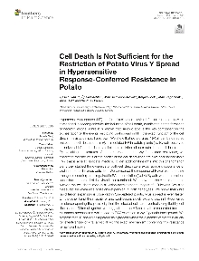 Digitalna vsebina dCOBISS (Cell death is not sufficient for the restriction of potato virus Y spread in hypersensitive response-conferred resistance in potato [Elektronski vir])