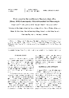 Digitalna vsebina dCOBISS (First record of the nudibranch Marionia blainvillea (Risso, 1818) (Gastropoda: Heterobranchia) for Montenegro = Prvi nalaz puža golaća Marionia blainvillea (Risso, 1818) (Gastropoda: Heterobranchia) u Crnoj Gori)